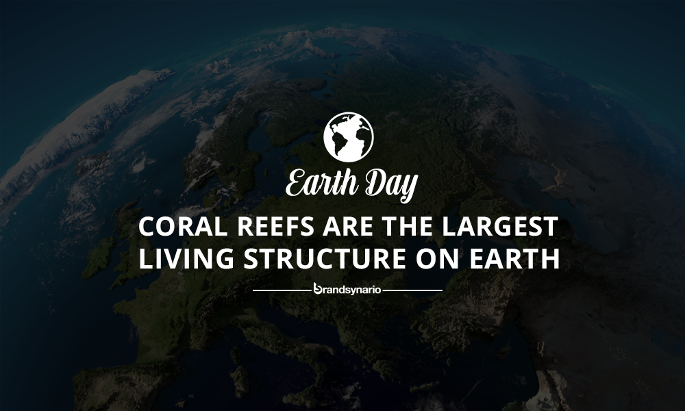 Earth Day Facts