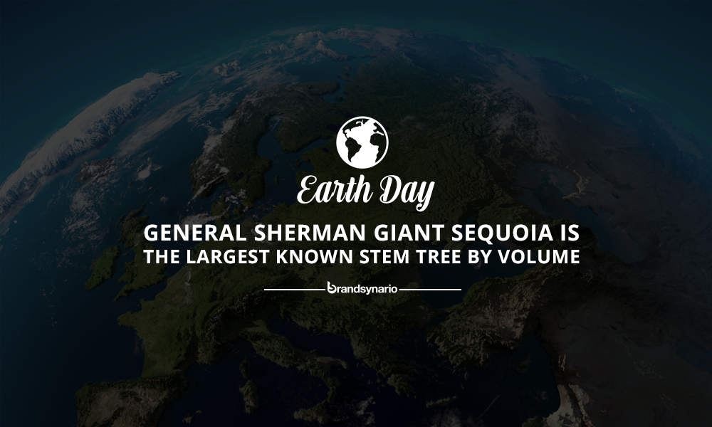 Earth Day Facts