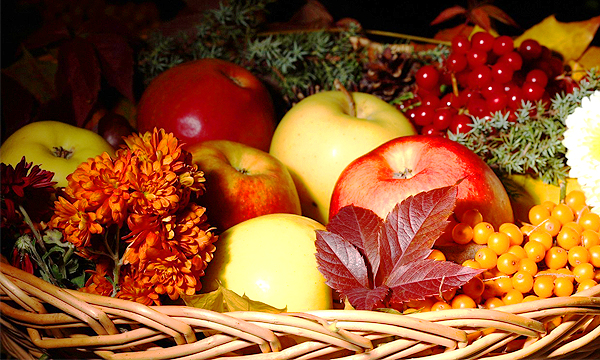 Autumn-Foods