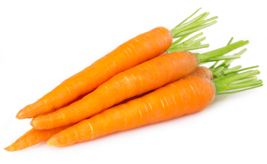 fresh carrots isolated on white background