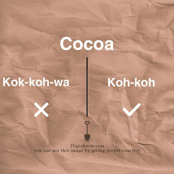 Cocoa1
