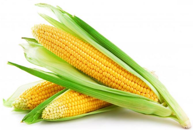 Corn