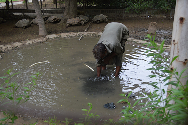 Karachi Zoo