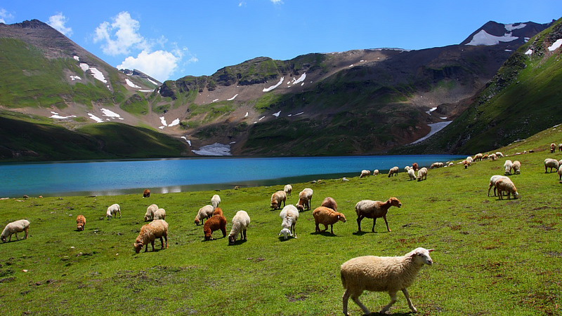 Deosai Park