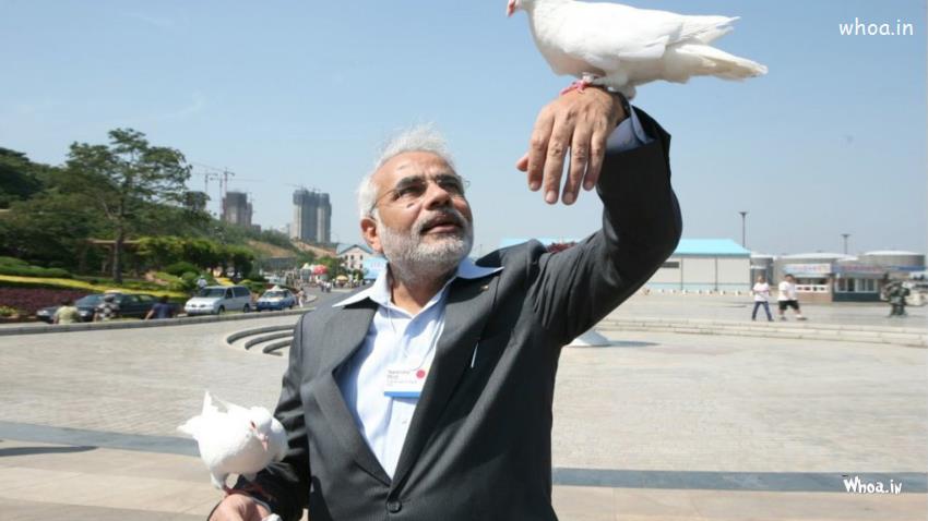 Narendra-Modi-With-White-Pigeon-