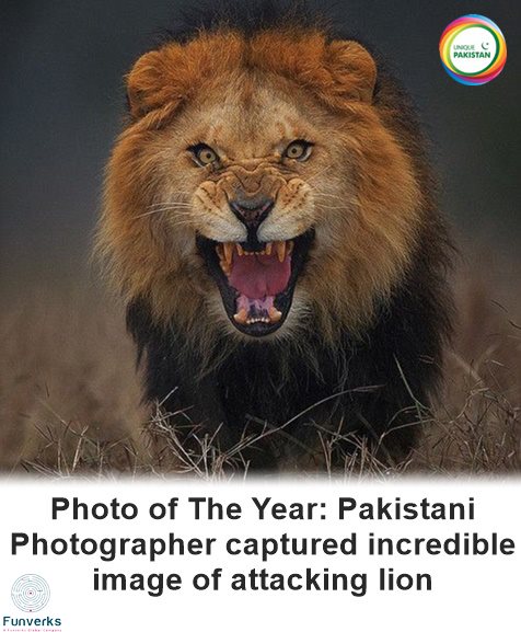 Pakistan 2015 Year in Review (13)