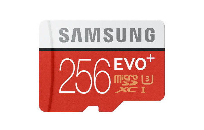 Samsung evo-256 Gb Card.Brandsynario