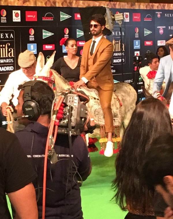 Shahid on a donkey at IIFA Awatds