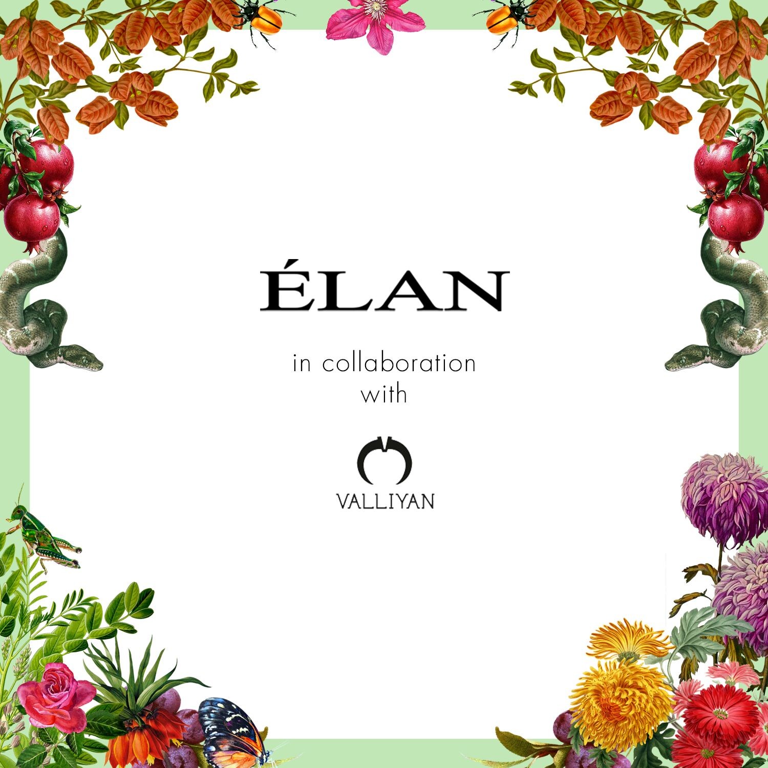 Elan