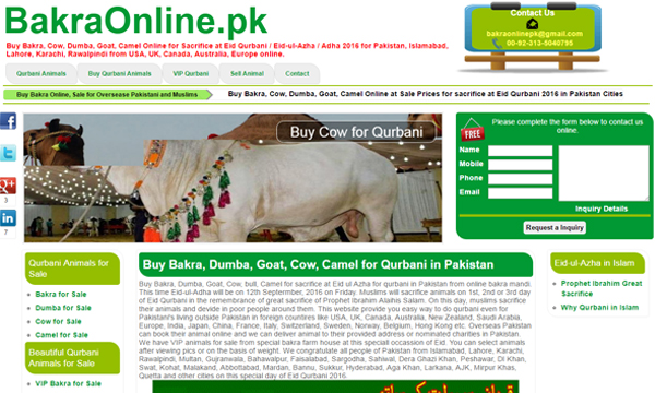 bakra online