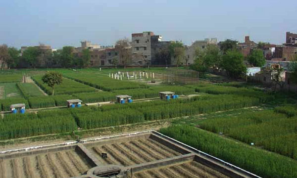 irrigation-system-pakistan