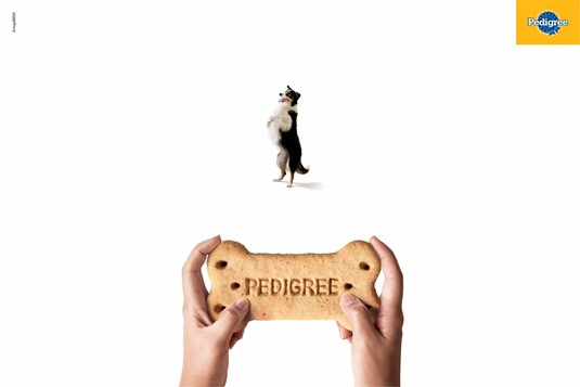 pedigree print ad