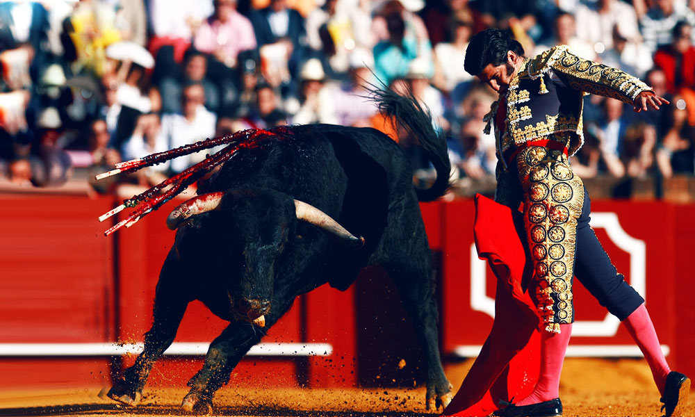 Seville Bull-fight
