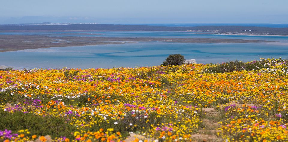 West Coast National Park