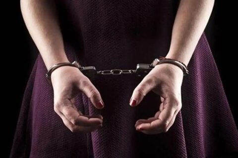 Mehreen, an aunt arrested in a theft case, turns out to be an