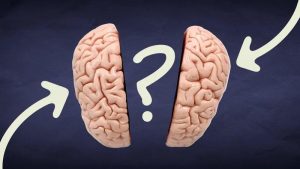 So, do you think left-brained or right-brained?