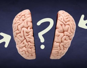 So, do you think left-brained or right-brained?