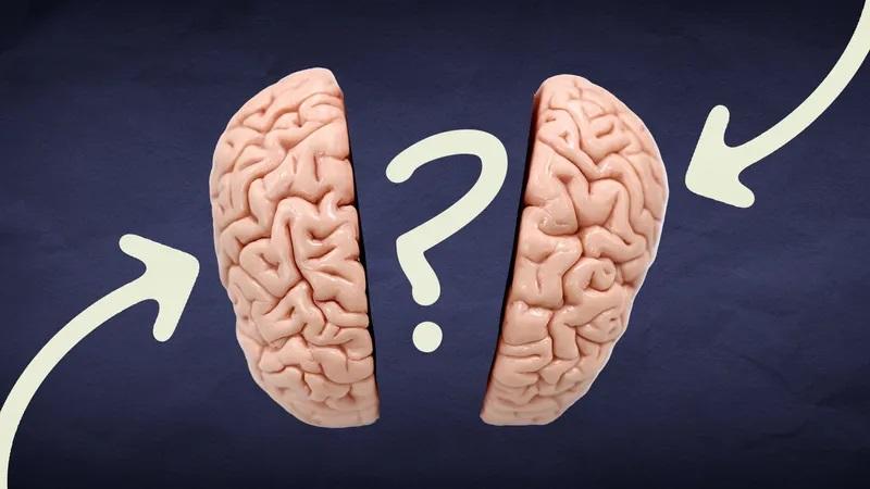 So, do you think left-brained or right-brained?