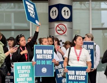 WestJet flight attendants strike, flights suspended during summer season