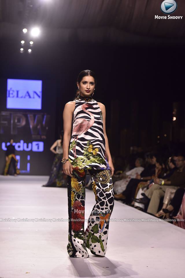 FPW 15 Elan