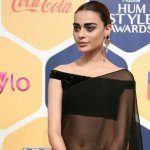 Hum Style Awards 201