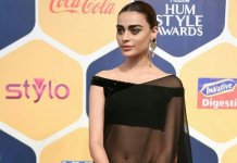 Hum Style Awards 201