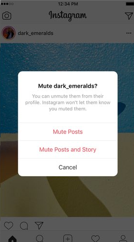 How to Mute Someone on Instagram