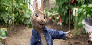 peter rabbit