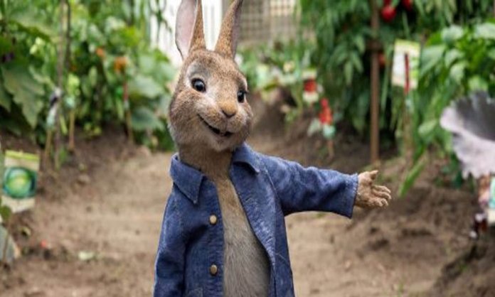 peter rabbit