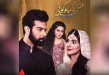 Ishq Na Kariyo Koi