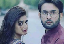 aseer-e-mohabbat