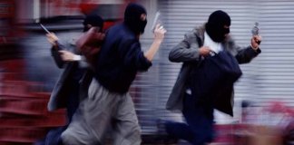 Gang of Bank Robbers