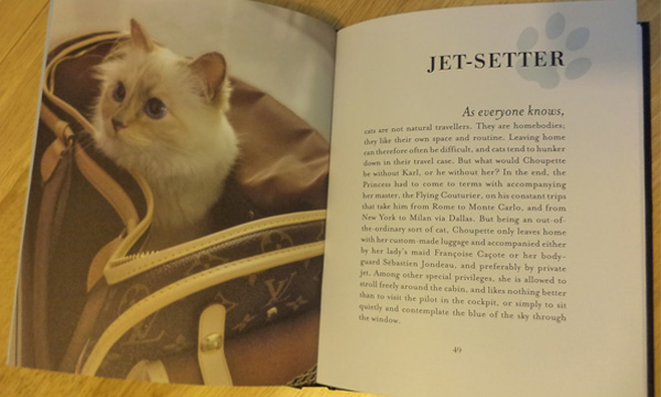 Choupette: The Private Life of a High-Flying Fashion Cat