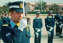 Sherdil