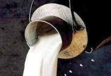 milk prices in karachi