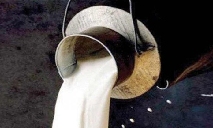 milk prices in karachi