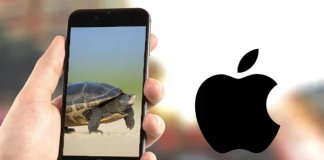apple iphone