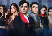 Ishq Zahe Naseeb