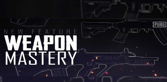 PUBG Weapon Mastery