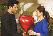 dil kya karey last episode