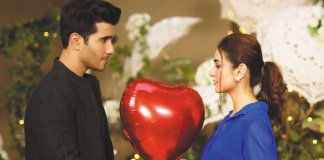 dil kya karey last episode