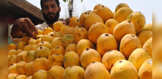 pakistan mangoes