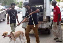 edhi animal shelter