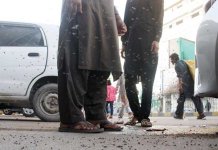 house flies in karachi