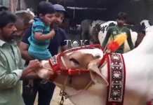 sarfraz ahmed