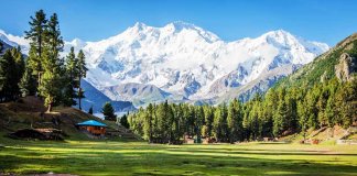 telenor