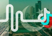top 10 tiktok stars in pakistan