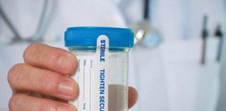 drug test