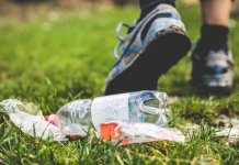 littering in karachi