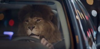 mercedes benz lions